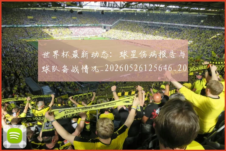 世界杯最新动态:球星伤病报告与球队备战情况_20260526125646_20260702174141