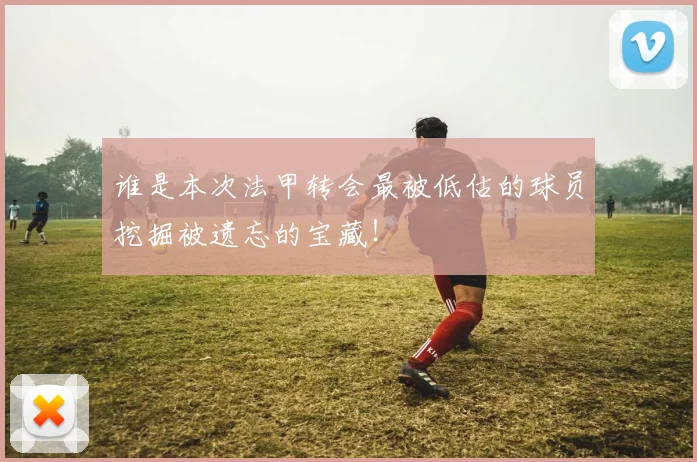谁是本次法甲转会最被低估的球员挖掘被遗忘的宝藏!